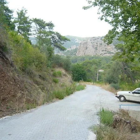Waldvilla *