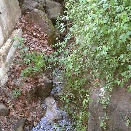Waldvilla 度假居